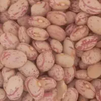 لوبیا فروشی