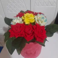 فروش گل