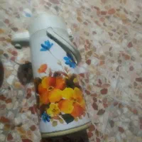 فلاکس ژاپنی