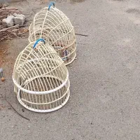 قفس پرنده