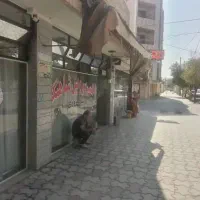 اجاره مغازه|اجارهٔ مغازه و غرفه|شاهین‌شهر, شیخ بهایی|دیوار