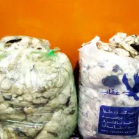 پشم گوسفند|رختخواب، بالش، پتو|بندر انزلی, بی بی حوریه|دیوار