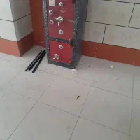 گاو صندوق
