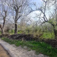 فروش باغ در روستای مزلقان|فروش زمین و ملک کلنگی|نوبران, |دیوار