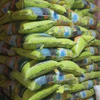 فروش ویژه تخمه افتابگردان