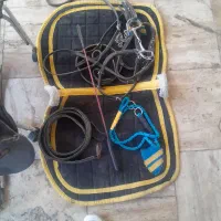 وسایل کامل اسب|اسب و تجهیزات اسب‌سواری|اهر, |دیوار