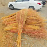 جاروشهرداری