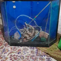 آکواریوم تصفیه دار