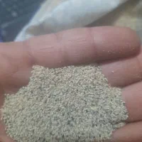 بذر سفید|گل و گیاه طبیعی|کوهدشت, |دیوار