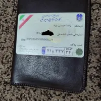 پیدا شده