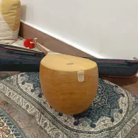 دوتار حرفه ای