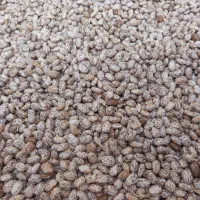 لوبیا چیتی|خوردنی و آشامیدنی|دره شهر, |دیوار