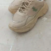 کفش|کیف، کفش، کمربند|بیرجند, |دیوار