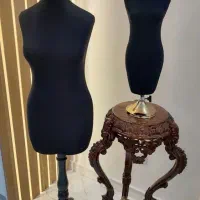 مانکن سوزن خور و اتو خور