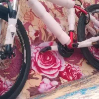 دچرخه سفر خشک