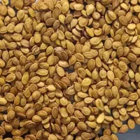 تخمه|خوردنی و آشامیدنی|تهران, هرندی|دیوار