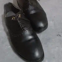 گفش دامادی نو|کیف، کفش، کمربند|گرگان, |دیوار