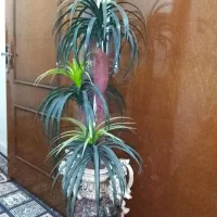 مجسمه میز وگلدان|مجسمه، تندیس، ماکت|اهر, |دیوار