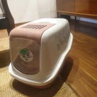 ظرف خاک گربه