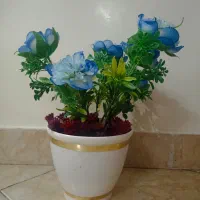 باکس گل روز معلم