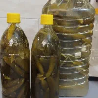 ترشی خانگی خوشمزه وسنتی خیارشور ،فلفل تند|خوردنی و آشامیدنی|مشهد, رستگار|دیوار