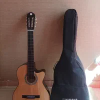 گیتار سالم