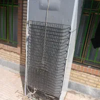 سالم به شرط