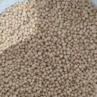 نخود گریت تمیز برای کاشت