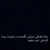 طوطی برزیلی گمشده