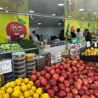 آگهی استخدام|استخدام خدمات فروشگاه و رستوران|تنکابن, |دیوار