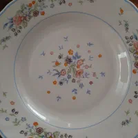 بشقاب آرکوپال ویکتوریا