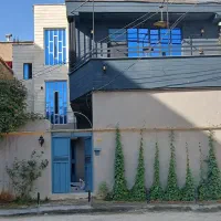 استخدام نیروی پر شور