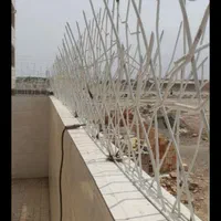 شاخ گوزنی از کارخانه|مصالح و تجهیزات ساختمان|پاکدشت, پاکدشت (مامازند)|دیوار