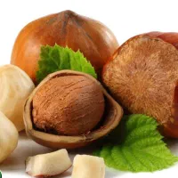 پیش فروش نهال فندق فرتیل|خدمات باغبانی و درختکاری|ابرکوه, |دیوار