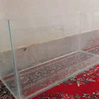 آکواریوم ماهی