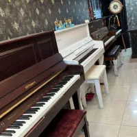 نیازمند فروشنده خانم آلات موسیقی