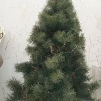 درخت کاج تزینی کریسمس