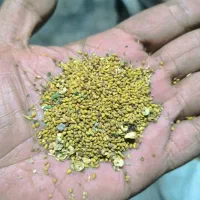 فروش بذر  یونجه محلی کیلو ۱۱۰۰|خدمات باغبانی و درختکاری|بندرعباس, |دیوار