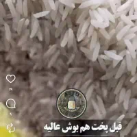 برنج ایرانی/هاشمی/طارم