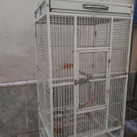 قفس بزرگ کاسکو شاه طوطی