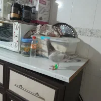 زرد همرنگ ماده