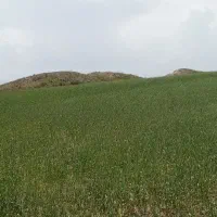 پرشیامعاوضه بازمین ونقدبخوانیدلطفا