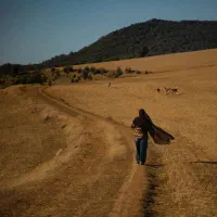 کمک برا کار