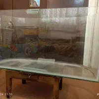 آکواریوم شیشه خم