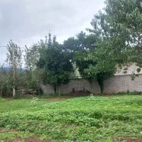 زمین مسکونی|فروش زمین و ملک کلنگی|ماکلوان, |دیوار