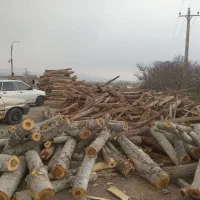 خریدو برش انواع درخت .سیار