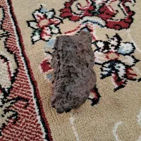 شهاب سنگ|جواهرات|تربت جام, جامرود|دیوار