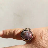 انگشتر شجر دریای