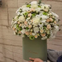 باکس گل ویژه روز دختر|گل و گیاه طبیعی|تهران, مهرآباد جنوبی|دیوار