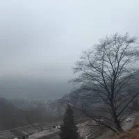 زمین-باغی